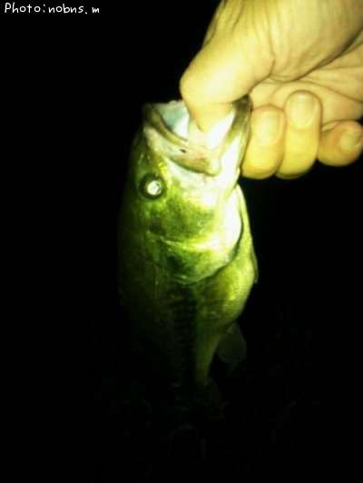 �֥�å��Х�