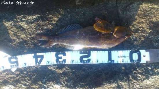 �����ʥ�