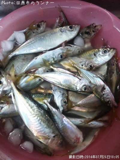 �������������С������ޥ�