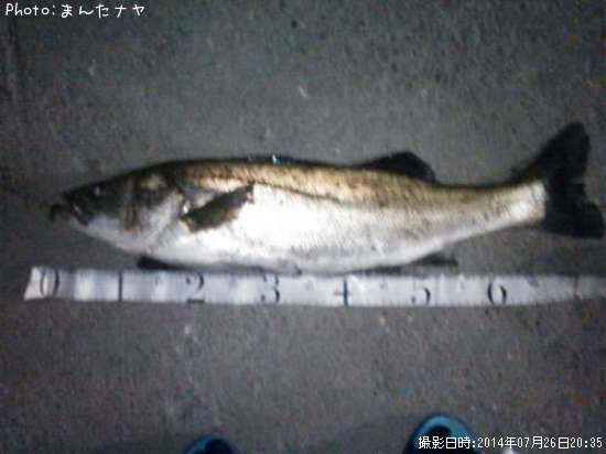 �����Х�