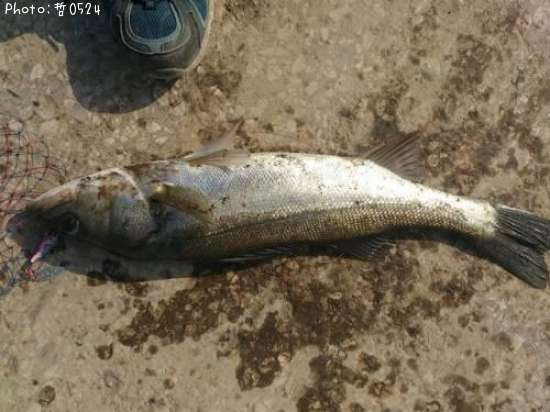 �����Х�