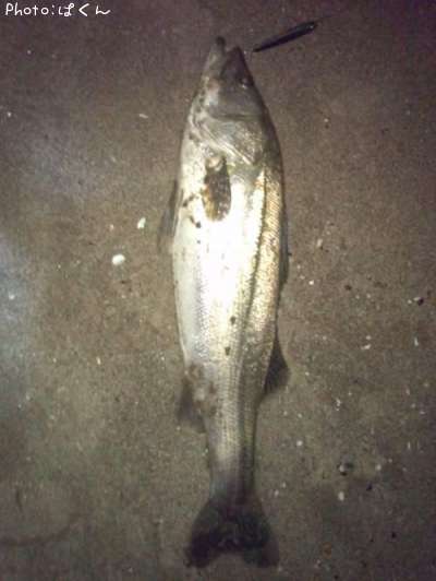 �����Х�