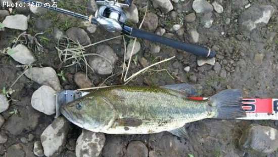 �֥�å��Х�