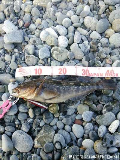 �����ʥ�