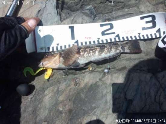 �����ʥ�