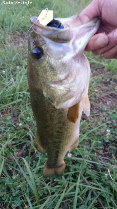 �֥�å��Х�