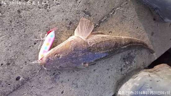 �ޥ���