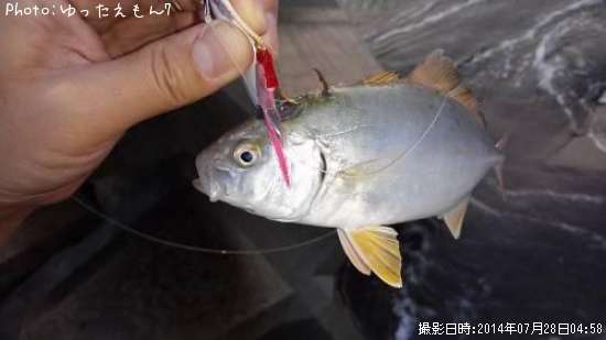 ����ѥ��λ�