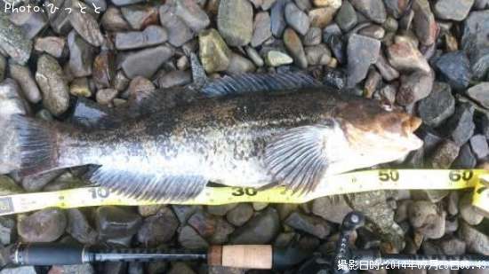 �����ʥ�