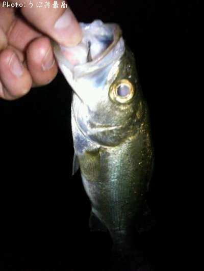 �����Х�