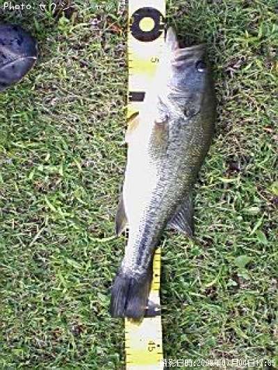 �֥�å��Х�