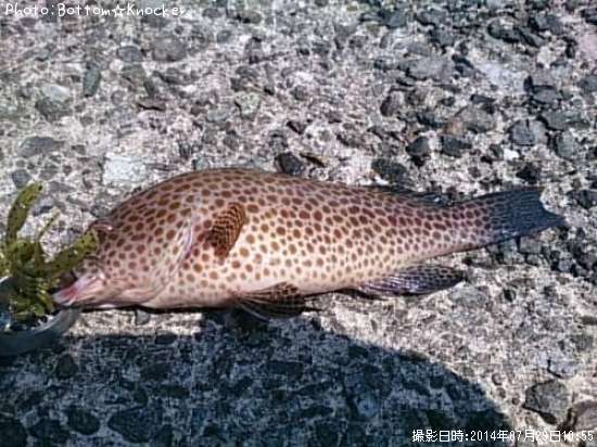 �������ϥ�