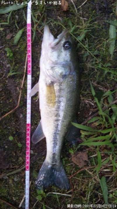 �֥�å��Х�