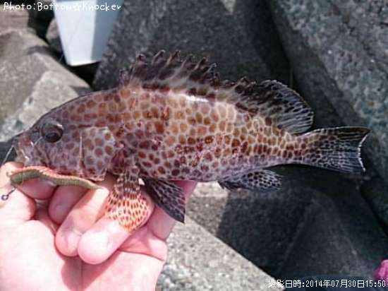 �������ϥ�