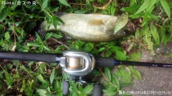 �顼���ޥ����Х�