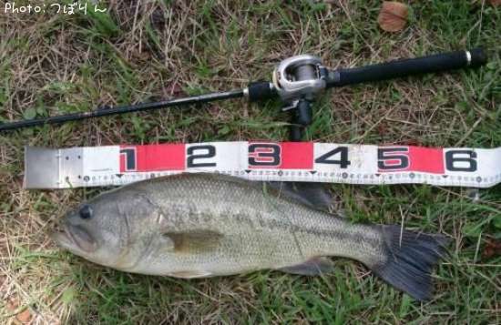 �֥�å��Х�