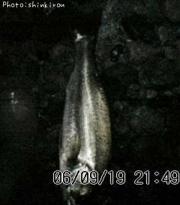 �����Х�