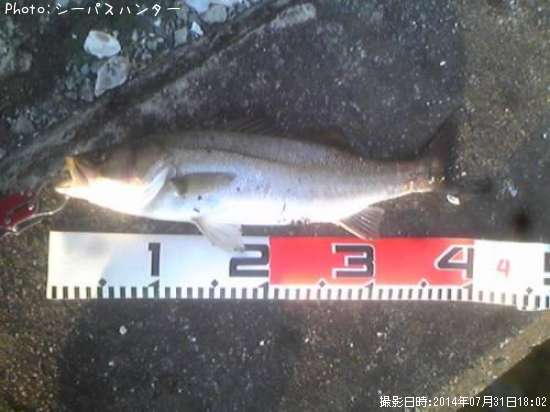 �����Х�