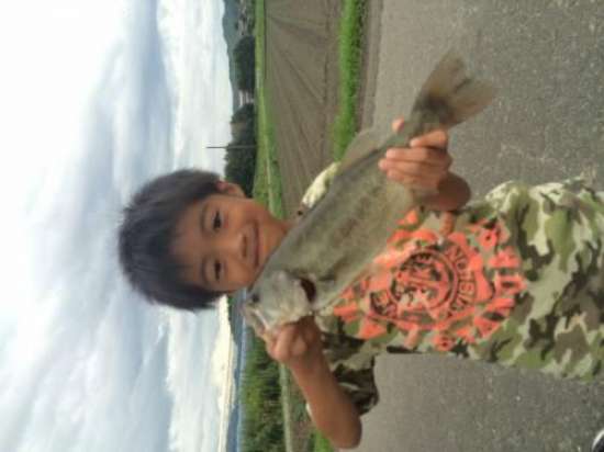 �֥�å��Х�