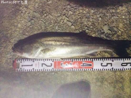 �����Х�