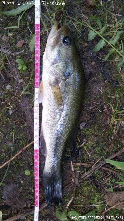 �֥�å��Х�