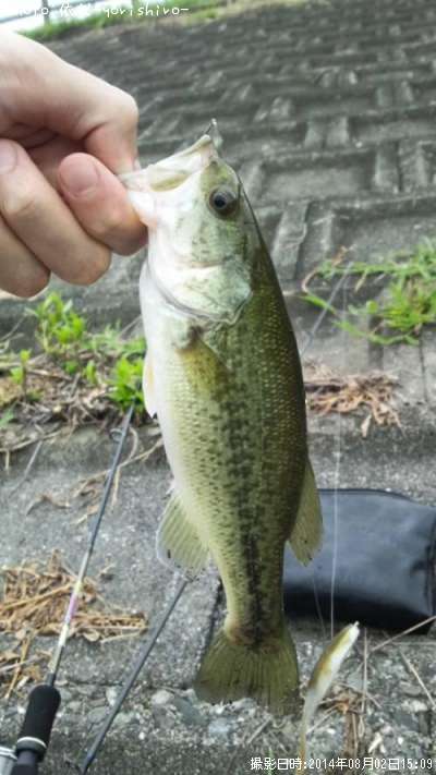 �֥�å��Х�