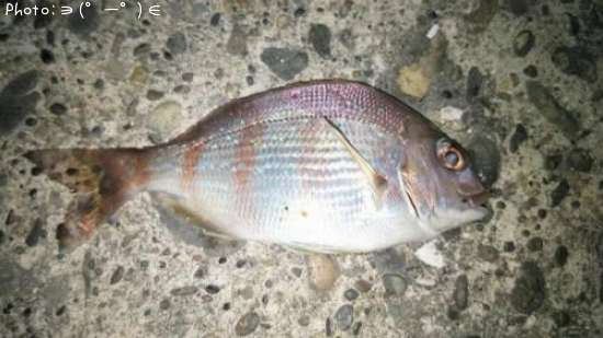 �����û�