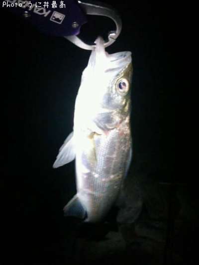 �����Х�