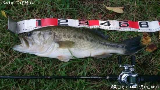 �֥�å��Х�