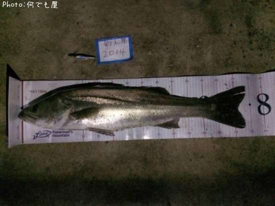 �����Х�