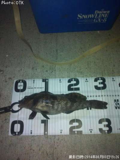 �����ʥ�