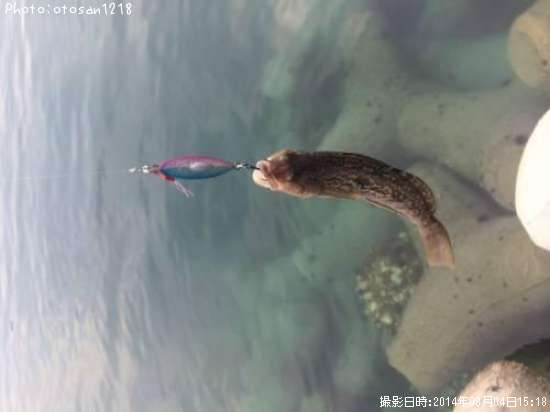 �����ʥ�