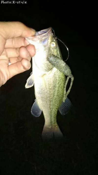 �֥�å��Х�