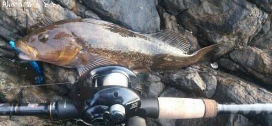 �����ʥ�