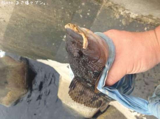 �����ʥ�