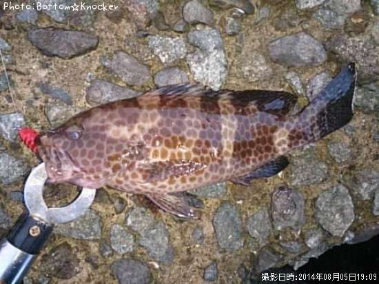 �������ϥ�