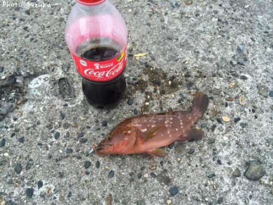 �����ϥ�