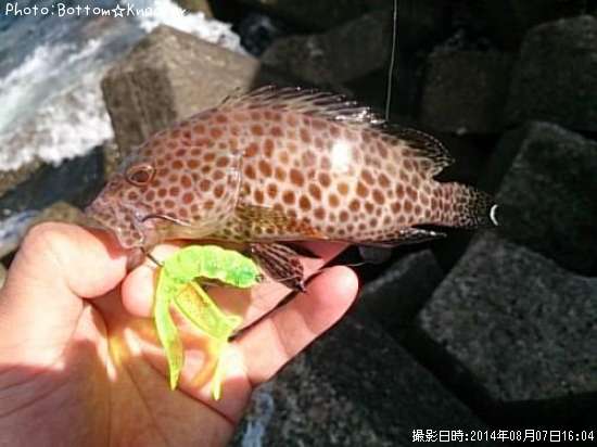 �������ϥ�