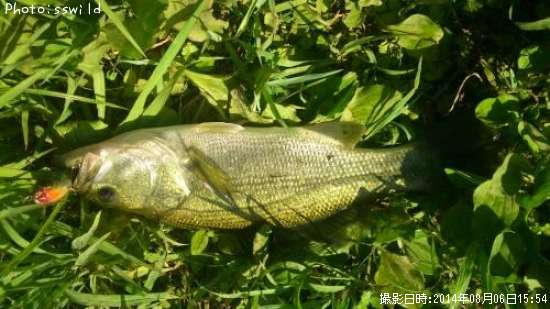 �֥�å��Х�