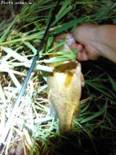 �֥�å��Х�