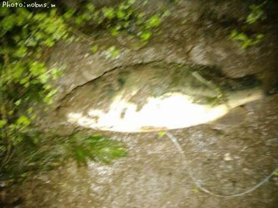 �֥�å��Х�