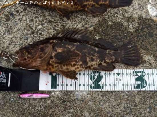 �����Υ���Х�