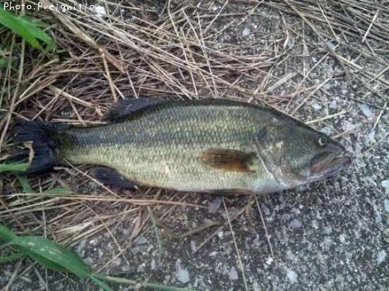 �֥�å��Х�