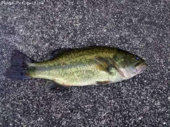 �֥�å��Х�