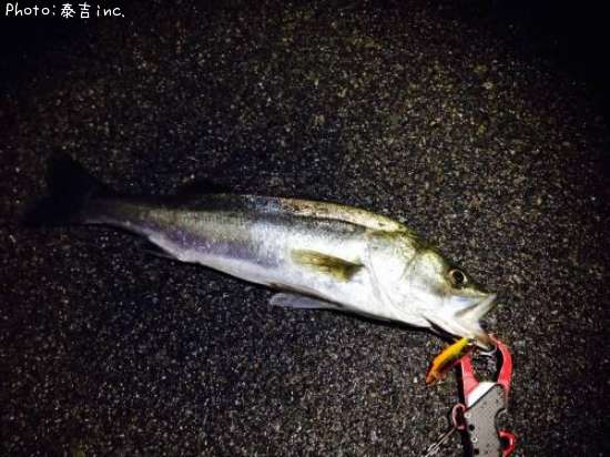 �����Х�