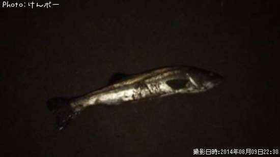 �����Х�