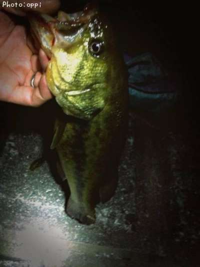 �֥�å��Х�