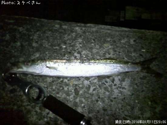 ���˥��ޥ�