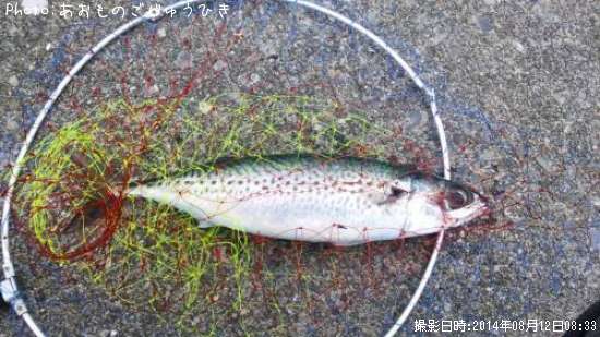 ���ޥ���