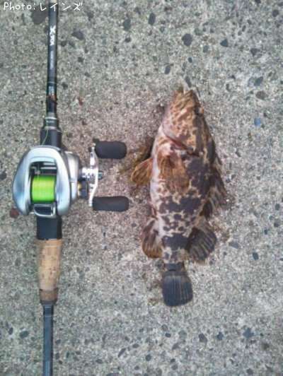 �����Υ���Х�